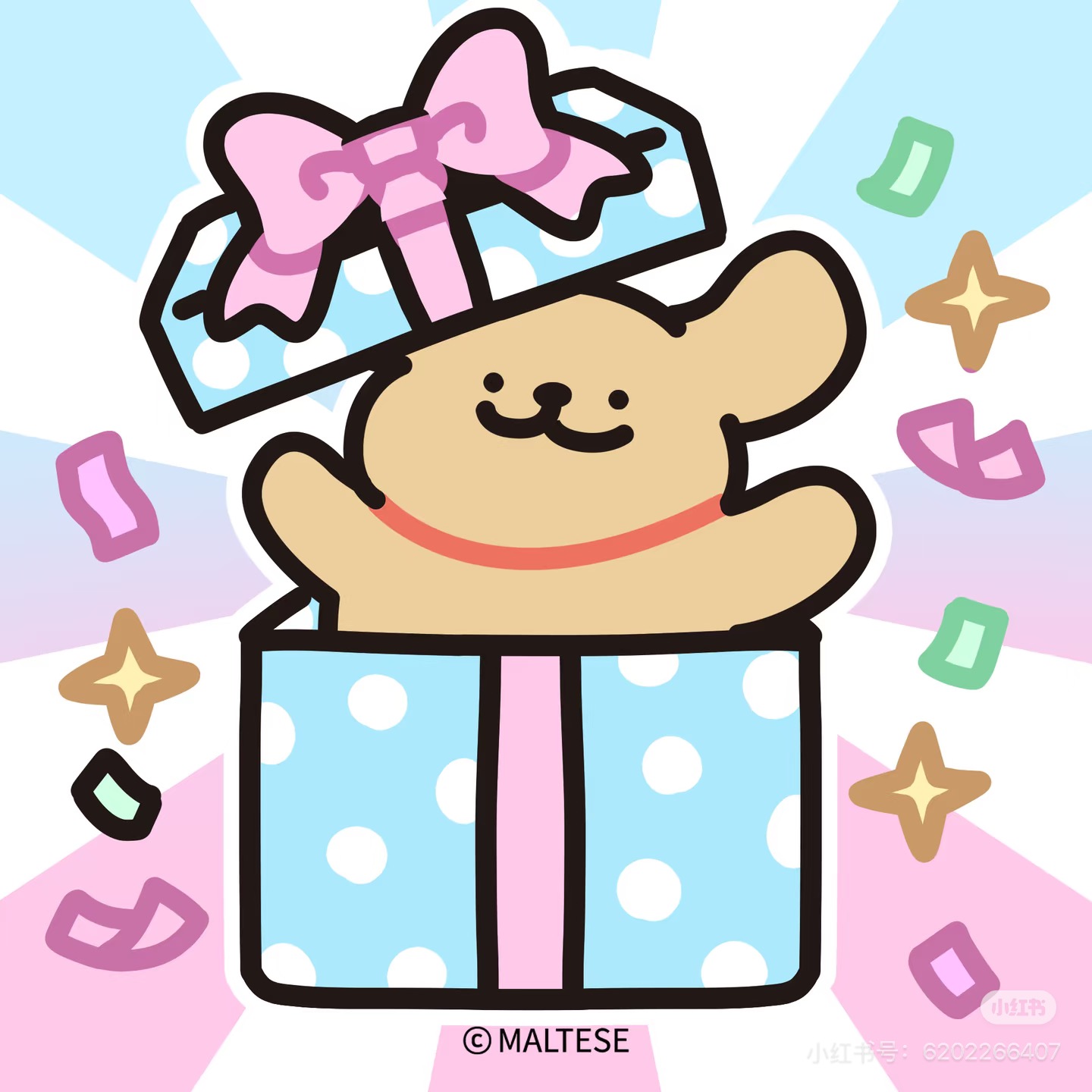 小金毛带来生日礼物