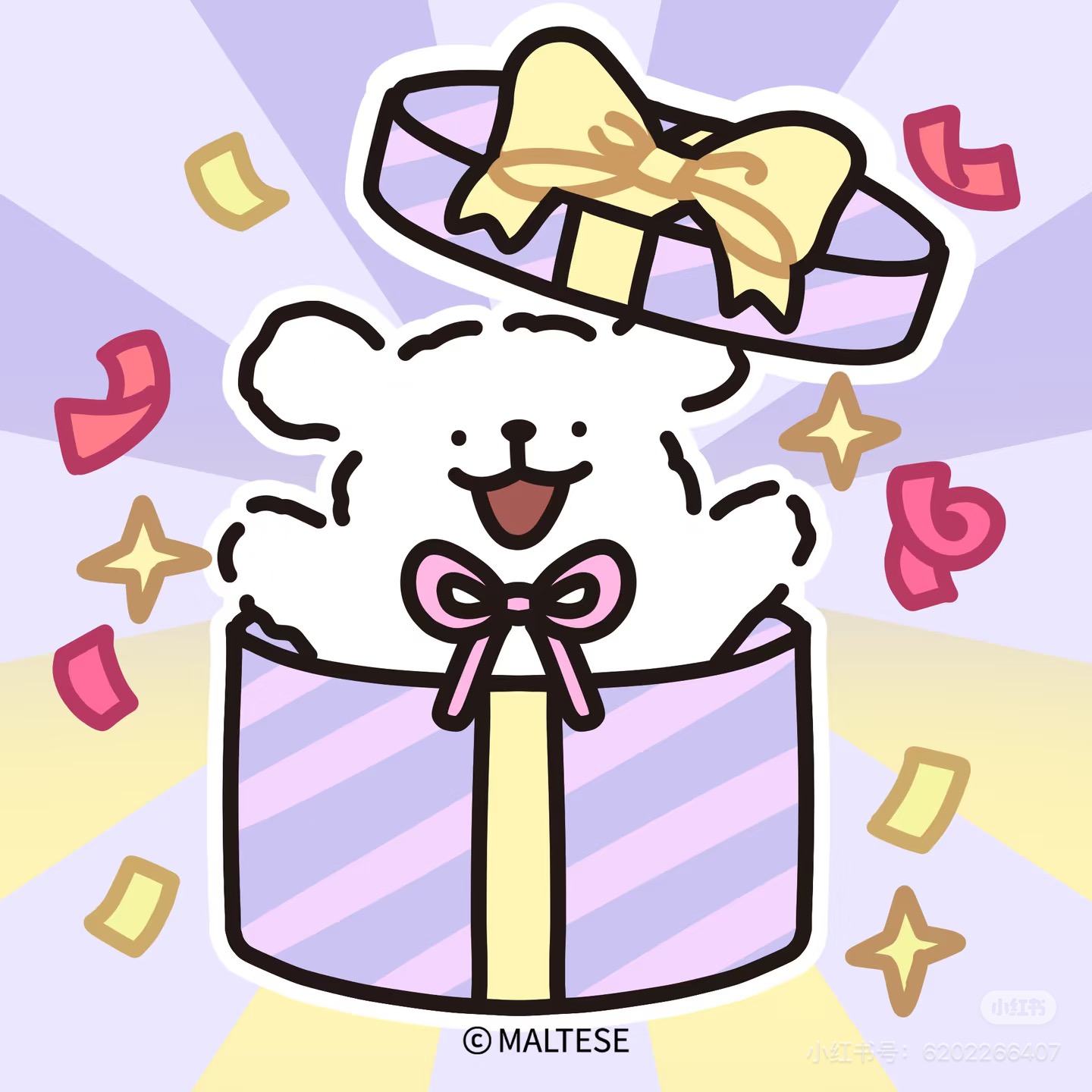 小白从生日礼物盒里探出头